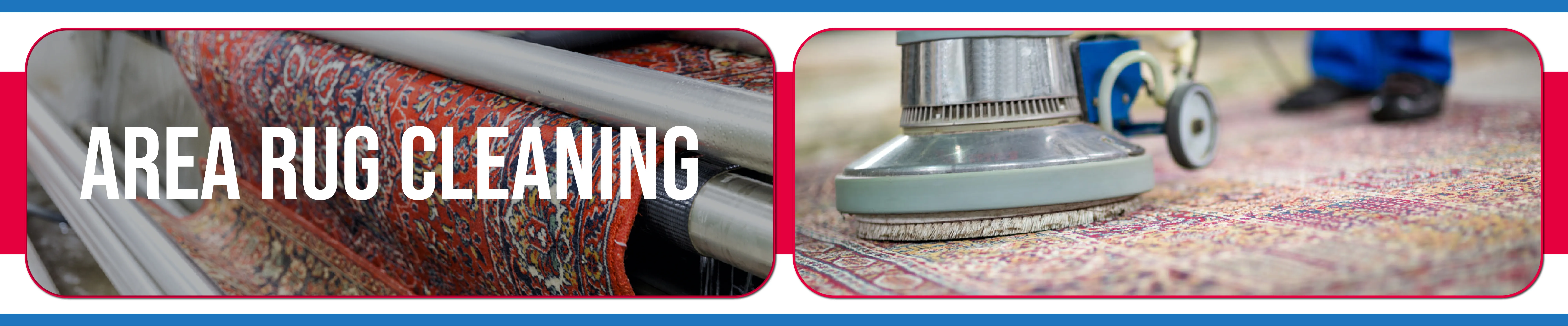 carpet cleaning in Nassau, carpet cleaner in Nassau, carpet cleaners in Nassau, carpet cleaners in new york, commercial carpet cleaning, commercial carpet cleaning in Nassau, rug cleaning in Nassau,rug cleaners Nassau, Nassau rug cleaners, rug cleaning services in Nassau, same day carpet cleaning,pet cleaning in Nassau, pet cleaner in Nassau, pet cleaners in Nassau, pet cleaners in new york, organic cleaning in Nassau, organic cleaner in Nassau, organic cleaners in Nassau, organic cleaners in new york, mattress cleaning in Nassau, mattress cleaner in Nassau, upholstery cleaners in Nassau, upholstery cleaners in new york, Miscellaneous cleaning in Nassau, Miscellaneous cleaner in Nassau, bed bug cleaners in Nassau, bed bug cleaners in new york, damage service in Nassau, allergy control in Nassau, same day rug cleaning