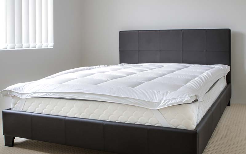 carpet cleaning in Nassau, carpet cleaner in Nassau, carpet cleaners in Nassau, carpet cleaners in new york, commercial carpet cleaning, commercial carpet cleaning in Nassau, rug cleaning in Nassau,rug cleaners Nassau, Nassau rug cleaners, rug cleaning services in Nassau, same day carpet cleaning,pet cleaning in Nassau, pet cleaner in Nassau, pet cleaners in Nassau, pet cleaners in new york, organic cleaning in Nassau, organic cleaner in Nassau, organic cleaners in Nassau, organic cleaners in new york, mattress cleaning in Nassau, mattress cleaner in Nassau, upholstery cleaners in Nassau, upholstery cleaners in new york, Miscellaneous cleaning in Nassau, Miscellaneous cleaner in Nassau, bed bug cleaners in Nassau, bed bug cleaners in new york, damage service in Nassau, allergy control in Nassau, same day rug cleaning