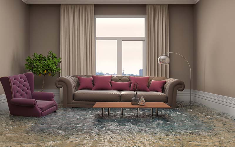 carpet cleaning in Nassau, carpet cleaner in Nassau, carpet cleaners in Nassau, carpet cleaners in new york, commercial carpet cleaning, commercial carpet cleaning in Nassau, rug cleaning in Nassau,rug cleaners Nassau, Nassau rug cleaners, rug cleaning services in Nassau, same day carpet cleaning,pet cleaning in Nassau, pet cleaner in Nassau, pet cleaners in Nassau, pet cleaners in new york, organic cleaning in Nassau, organic cleaner in Nassau, organic cleaners in Nassau, organic cleaners in new york, mattress cleaning in Nassau, mattress cleaner in Nassau, upholstery cleaners in Nassau, upholstery cleaners in new york, Miscellaneous cleaning in Nassau, Miscellaneous cleaner in Nassau, bed bug cleaners in Nassau, bed bug cleaners in new york, damage service in Nassau, allergy control in Nassau, same day rug cleaning