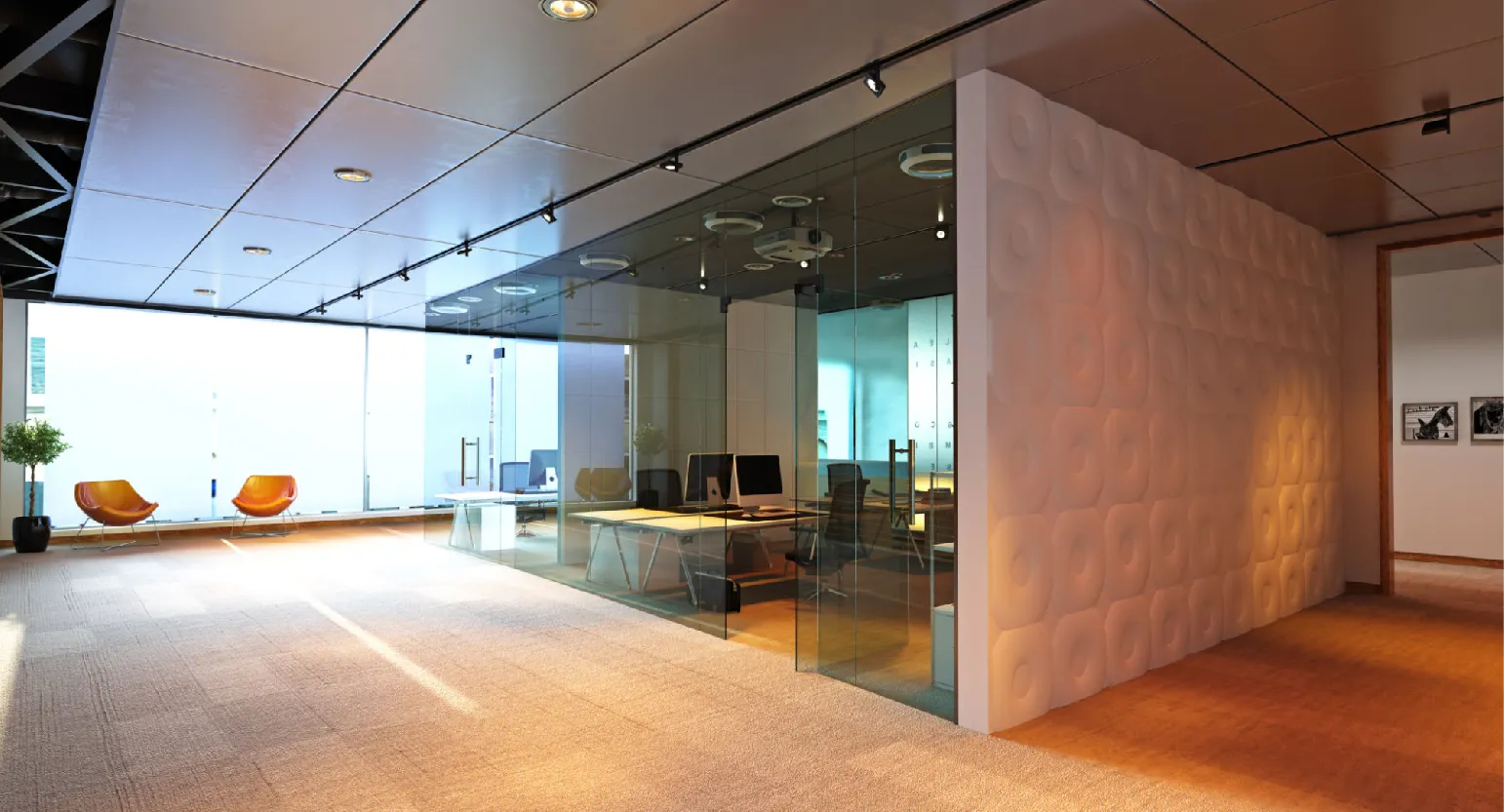 carpet cleaning in Nassau, carpet cleaner in Nassau, carpet cleaners in Nassau, carpet cleaners in new york, commercial carpet cleaning, commercial carpet cleaning in Nassau, rug cleaning in Nassau,rug cleaners Nassau, Nassau rug cleaners, rug cleaning services in Nassau, same day carpet cleaning,pet cleaning in Nassau, pet cleaner in Nassau, pet cleaners in Nassau, pet cleaners in new york, organic cleaning in Nassau, organic cleaner in Nassau, organic cleaners in Nassau, organic cleaners in new york, mattress cleaning in Nassau, mattress cleaner in Nassau, upholstery cleaners in Nassau, upholstery cleaners in new york, Miscellaneous cleaning in Nassau, Miscellaneous cleaner in Nassau, bed bug cleaners in Nassau, bed bug cleaners in new york, damage service in Nassau, allergy control in Nassau, same day rug cleaning