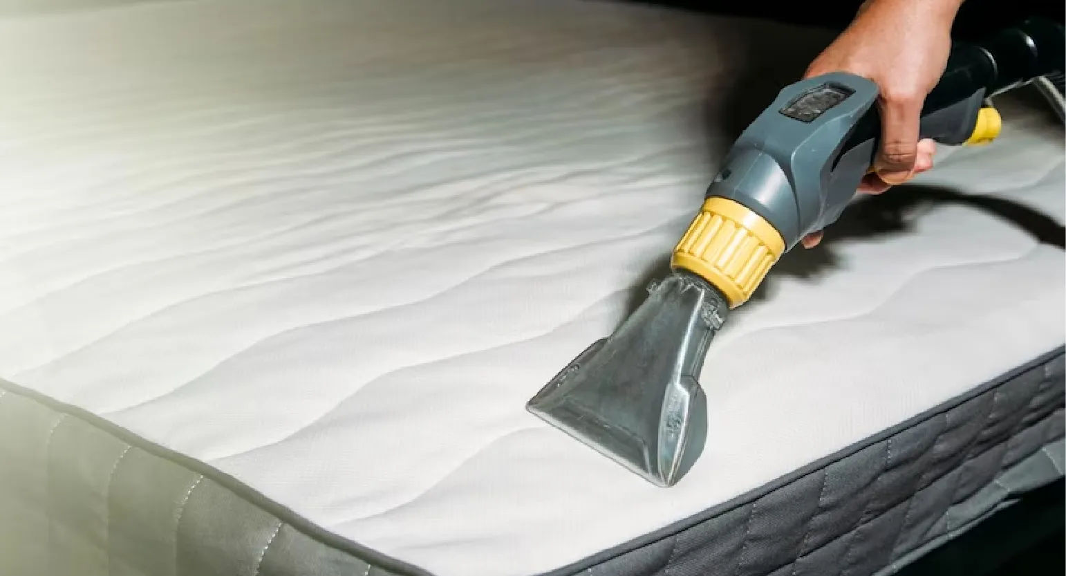 carpet cleaning in Nassau, carpet cleaner in Nassau, carpet cleaners in Nassau, carpet cleaners in new york, commercial carpet cleaning, commercial carpet cleaning in Nassau, rug cleaning in Nassau,rug cleaners Nassau, Nassau rug cleaners, rug cleaning services in Nassau, same day carpet cleaning,pet cleaning in Nassau, pet cleaner in Nassau, pet cleaners in Nassau, pet cleaners in new york, organic cleaning in Nassau, organic cleaner in Nassau, organic cleaners in Nassau, organic cleaners in new york, mattress cleaning in Nassau, mattress cleaner in Nassau, upholstery cleaners in Nassau, upholstery cleaners in new york, Miscellaneous cleaning in Nassau, Miscellaneous cleaner in Nassau, bed bug cleaners in Nassau, bed bug cleaners in new york, damage service in Nassau, allergy control in Nassau, same day rug cleaning