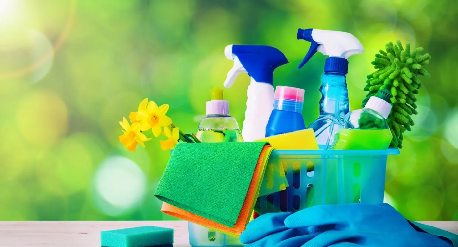 carpet cleaning in Nassau, carpet cleaner in Nassau, carpet cleaners in Nassau, carpet cleaners in new york, commercial carpet cleaning, commercial carpet cleaning in Nassau, rug cleaning in Nassau,rug cleaners Nassau, Nassau rug cleaners, rug cleaning services in Nassau, same day carpet cleaning,pet cleaning in Nassau, pet cleaner in Nassau, pet cleaners in Nassau, pet cleaners in new york, organic cleaning in Nassau, organic cleaner in Nassau, organic cleaners in Nassau, organic cleaners in new york, mattress cleaning in Nassau, mattress cleaner in Nassau, upholstery cleaners in Nassau, upholstery cleaners in new york, Miscellaneous cleaning in Nassau, Miscellaneous cleaner in Nassau, bed bug cleaners in Nassau, bed bug cleaners in new york, damage service in Nassau, allergy control in Nassau, same day rug cleaning